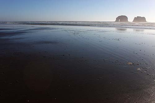 Rockaway Beach hosts its massive kite festival and a history lecture in Seaside features some intriguing finds