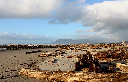 N. Oregon Coast's Rockaway Beach and Nedonna Beach: Where History, Logs, Geology Meet 