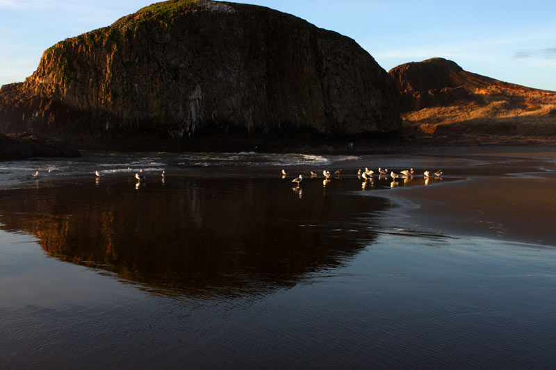 First Day Hikes on Oregon Coast a Special Event for New Year's Day 