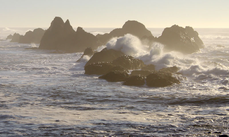 Seal Rock a Blast of Colors, Textures and an Oregon Coast Tidepool Hotspot