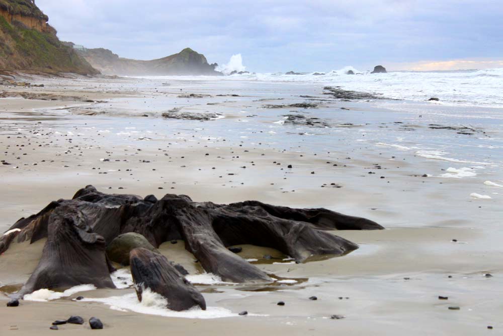 Funky Little Central Oregon Coast Spot with No Name: Seal Rock's NW Curtis St. Access 