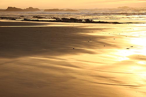 Sharing the Coast Conference Digs Deeper Into Oregon Beaches, Science 