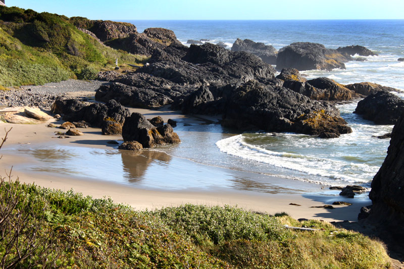 Razor Clamming Again Closes on Central Oregon Coast Due to Biotoxin