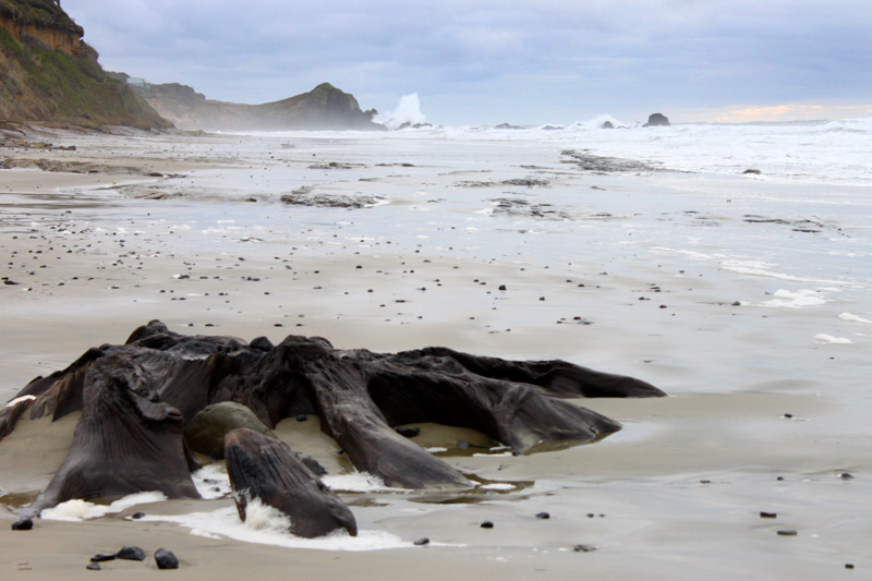 The Ghosts Near Waldport / Seal Rock Beneath These Oregon Coast Sands - Video 