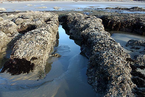 Seal Rock State Recreational Site weird ruts, structures