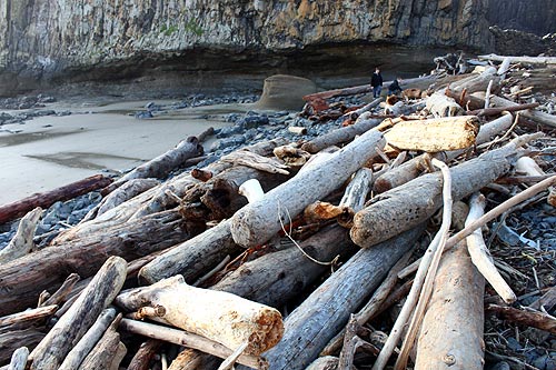Seal Rock State Recreational Site log bundles