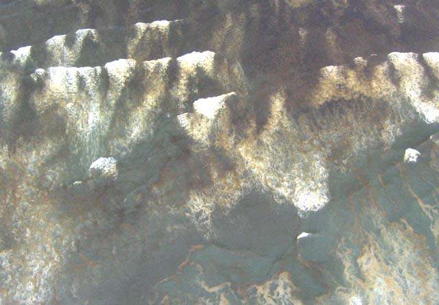 That Wonderful But Weird Thing That Freaks Out People on Oregon Coast: Brown Waves