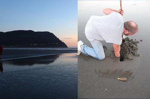 Razor Clamming and Traffic Updates for Oregon Coast 