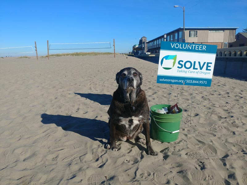 Earn Tasty Treats as You Clean Up North Oregon Coast Sands 