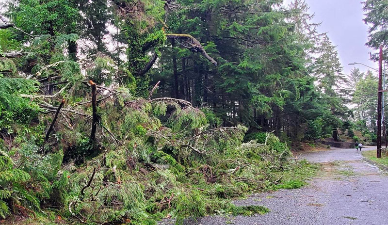 Storm Stories, Damage Along Oregon Coast: Deaths, Closures, Misadventures 