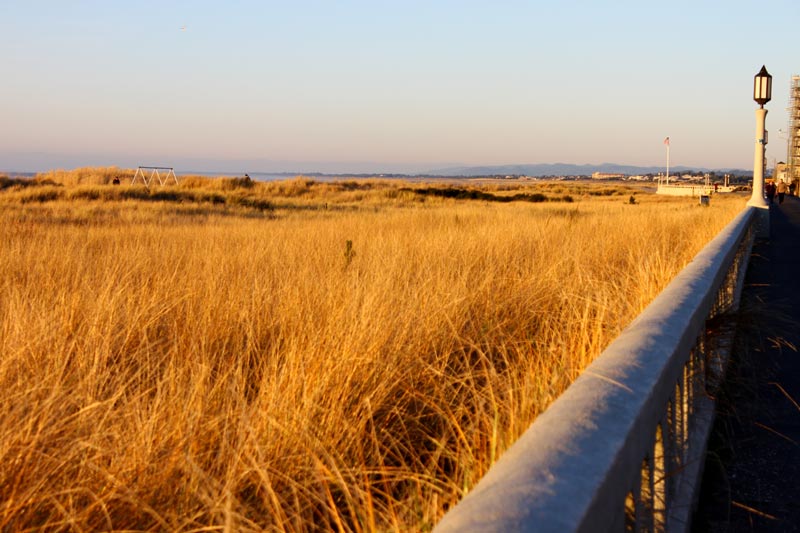 Walkway Through Seaside - the Promenade