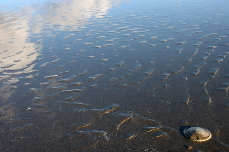 Reflections on - and in - the Oregon Coast: photo essay of the surreal