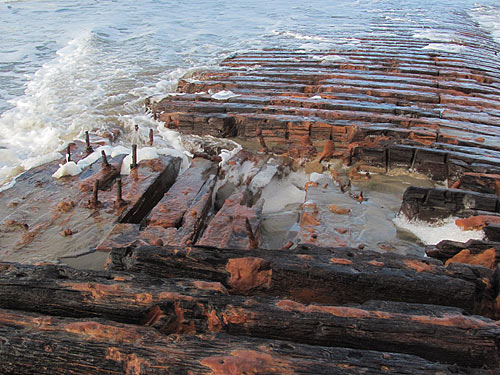 Freaky Finds You Might See After Storm Waves: Ghost Forests, Shipwreck on Oregon Coast