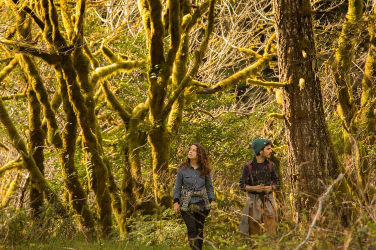 Five Amazing Guided Foraging Adventures of South Oregon's Live Culture Coast 