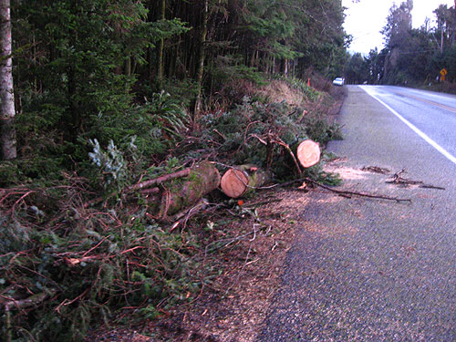 High Wind Warning for Oregon Coast, 75 mph Gusts - Portland High Wind Watch