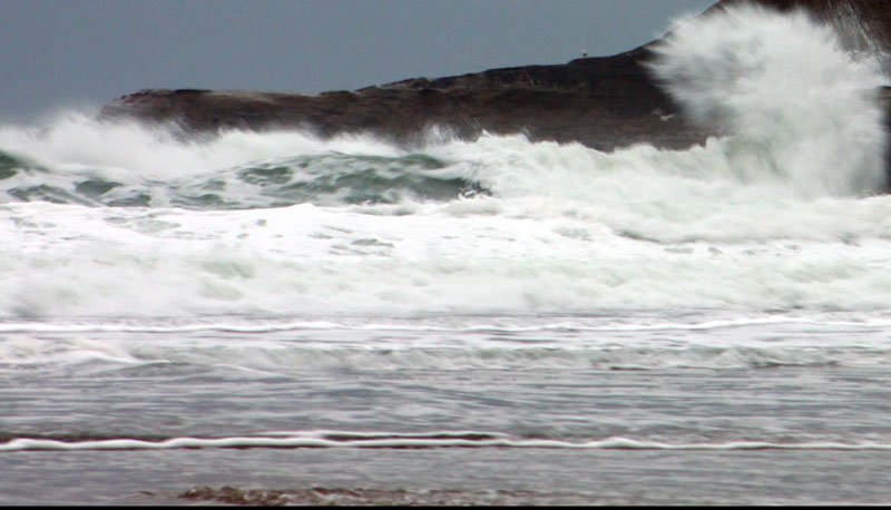 S. Oregon Coast's Tacoma Wreck A Tale of Cowardice, Confusion 