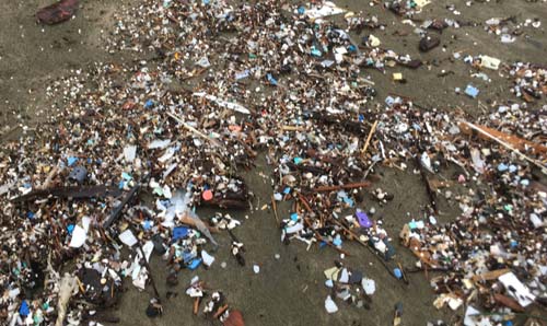 Microplastics Inundate Oregon Coast - 760 Pounds Taken Off One Beach