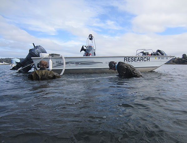 Seeing Mysterious Work in N. Oregon Coast Waters? It's Biologists in Tillamook Bay