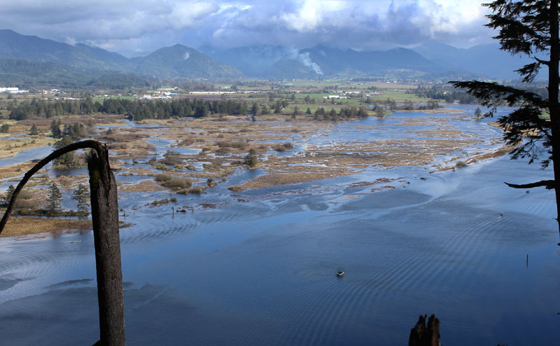 New Wetland Area on N. Oregon Coast Providing More Benefits Than Thought 