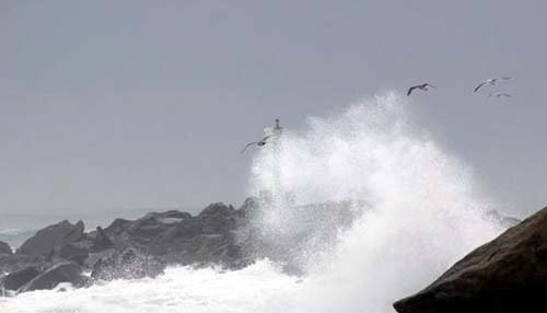 Yet Another Round of High Waves for Oregon Coast; High Winds Thursday 