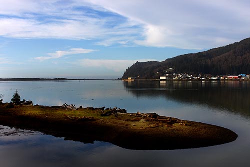 State Begins Hazing of Waterbird on Oregon Coast to Protect Juvenile Salmon