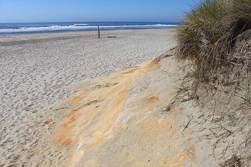 Rest of Oregon Coast Spring Break's Weather a Pleasant but Mixed Bag 