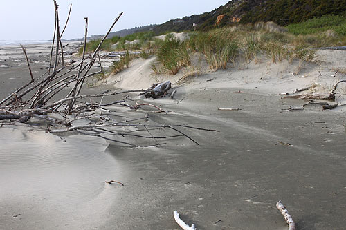 Driftwood Beach State Recreation Site - Distinctive Wonder of Waldport, Central Oregon Coast 