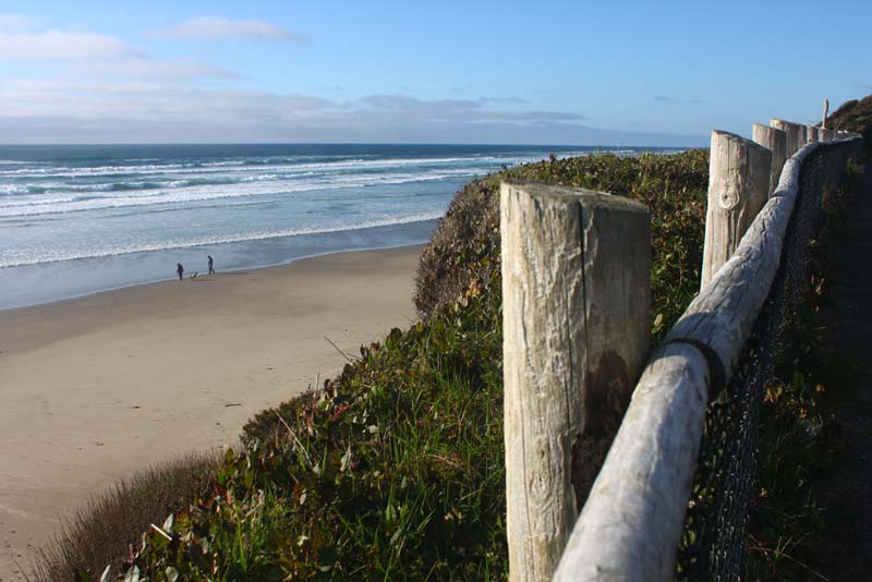 Razor Clamming Reopens on Majority of Oregon Coast - Including Tillamook, Lincoln Counties 