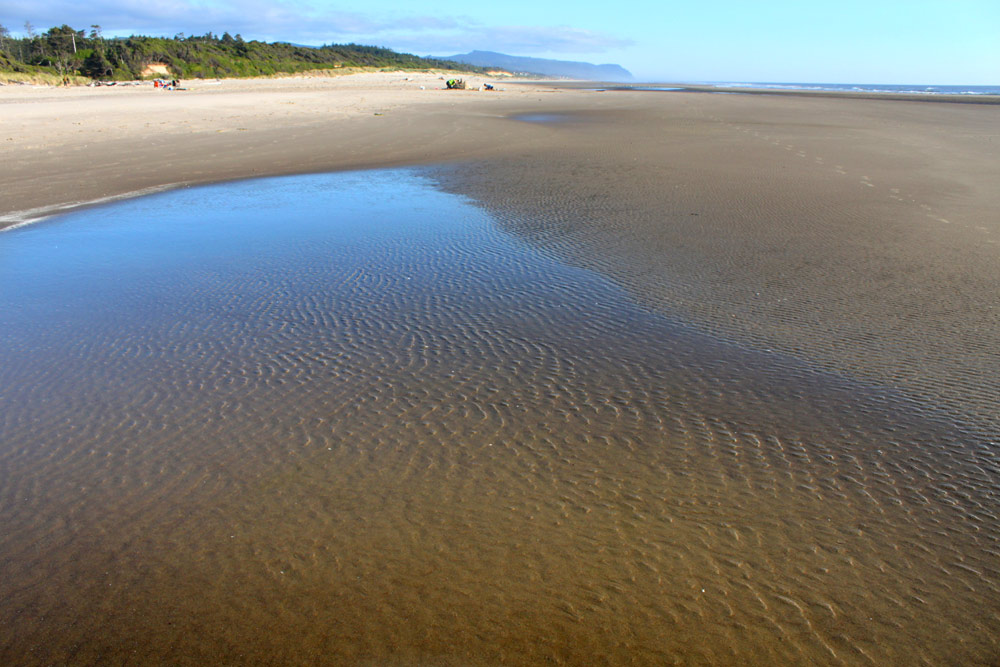 And the Winners for Oregon Coast's Busiest State Parks Are.... 