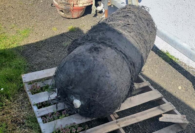 Apparent SpaceX Rocket Debris Found on Oregon Coast 