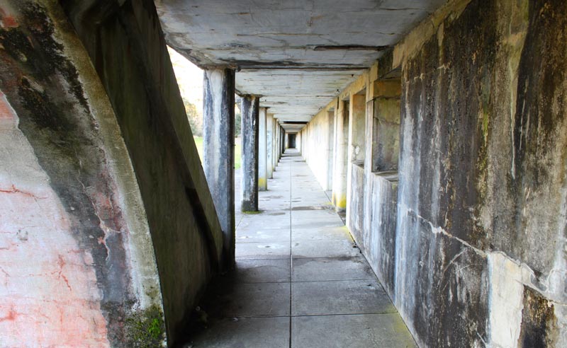 A Rugged Time Travel Through Layered Wonders at Fort Stevens, N. Oregon Coast 