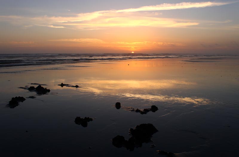 Razor Clam Closures on Entire Oregon Coast, Washington Coast 