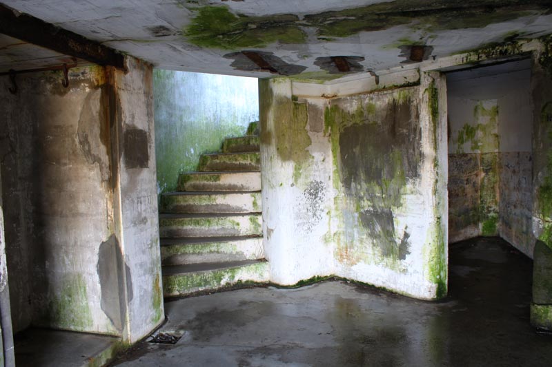 Wandering Fort Stevens, N. Oregon Coast's Equivalent to Castle Ruins 