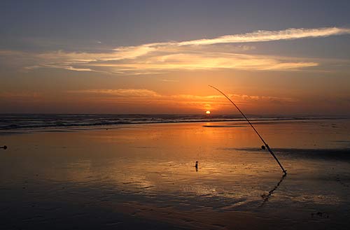 Recreational Crabbing Reopens Along All of Oregon Coast 
