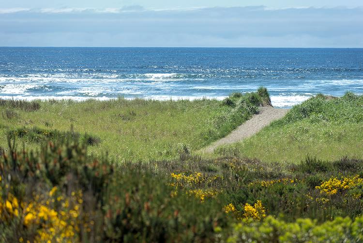 Beach Cleanups on Washington Coast and Oregon Coast, April 23