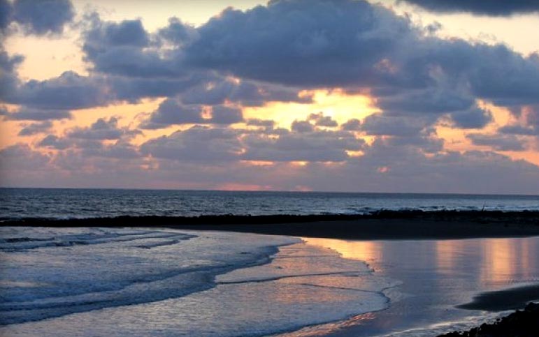 Washington Coast Waters Open to Crabbing, Fishing May 26 