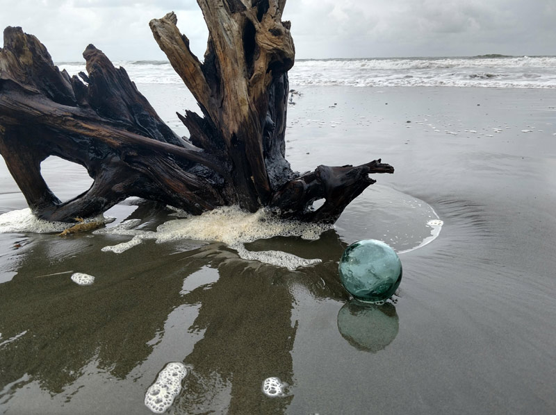 Washington Coast's Westport Begins Dropping Real Japanese Glass Floats For 2023