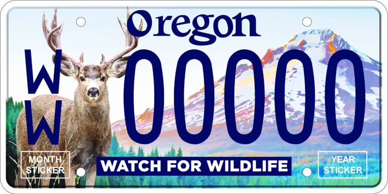 New License Plates Benefit Wildlife Around Oregon, the Coast