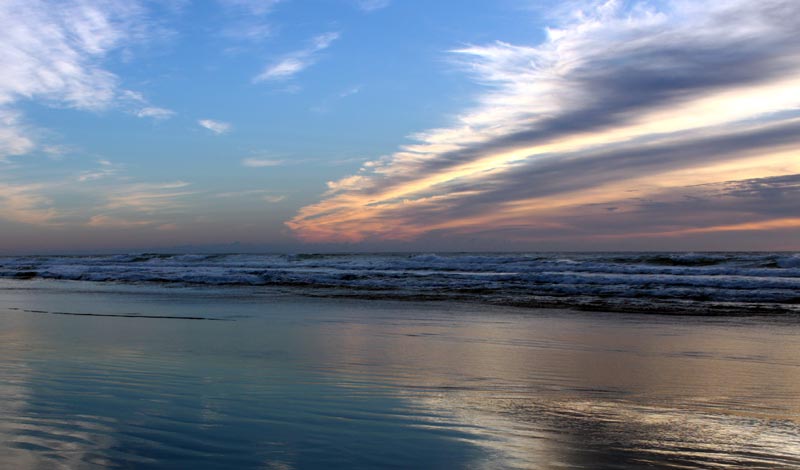 Recreational Crabbing Closed on Part of South Oregon Coast Due to Toxin