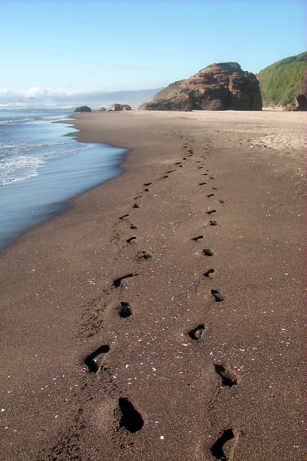 Winema Beach Near Lincoln City, Pacific City