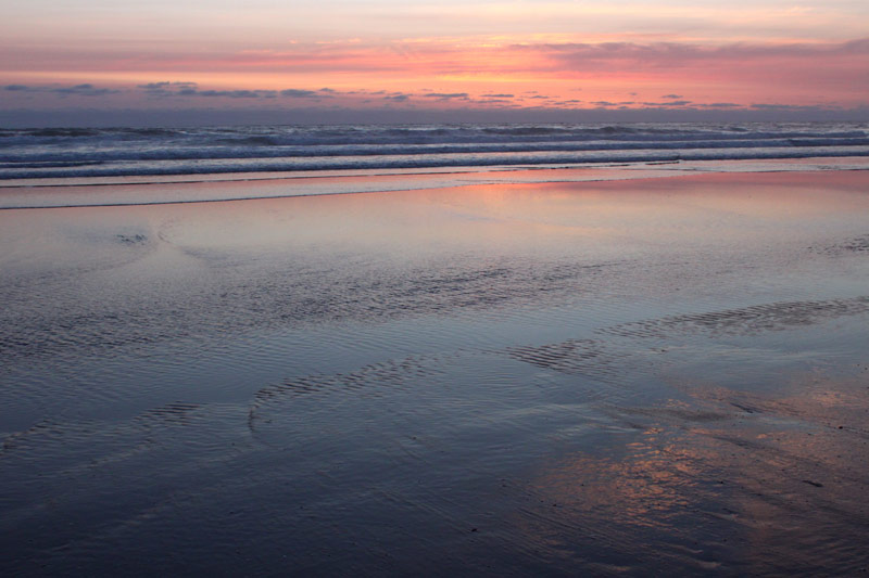 Razor Clamming Closed Along All of Washington Coast