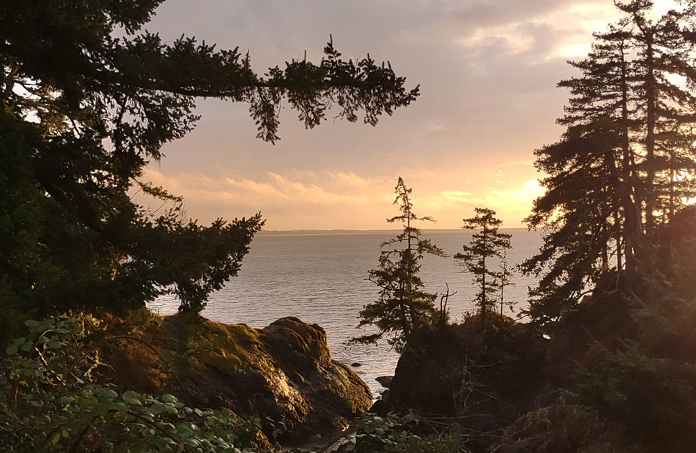 Washington Coast State Parks Hiring - 300 Sought for Entire State's Parks