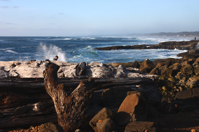 Oregon Coast Spots With Wicked Cool Sights - and Rooms to View Them