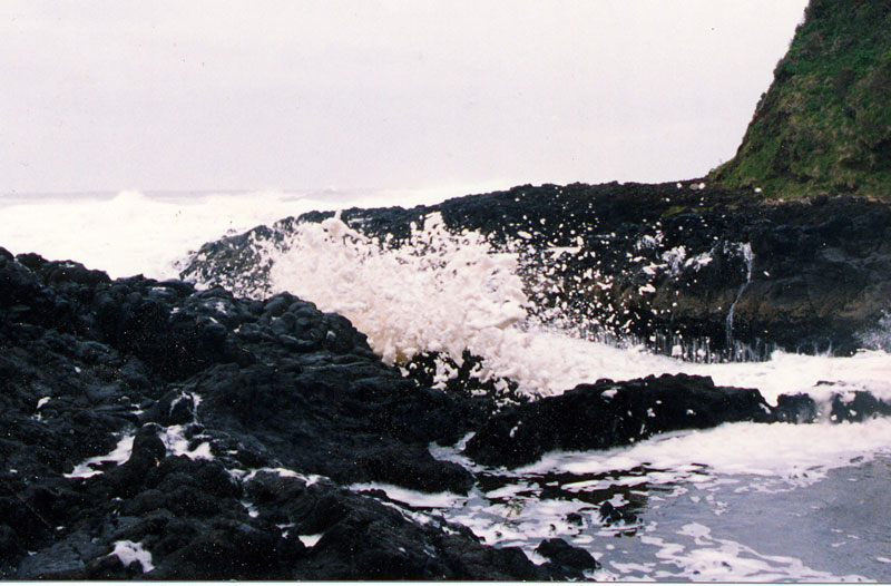 Sea Foam on the Oregon Coast - The Fireside Motel