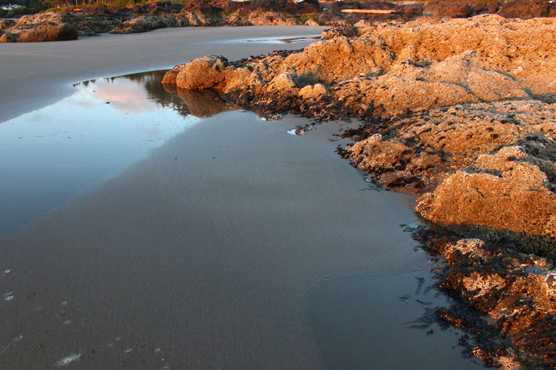 Summer Sands Aglow on Central Oregon Coast: Photo Essay