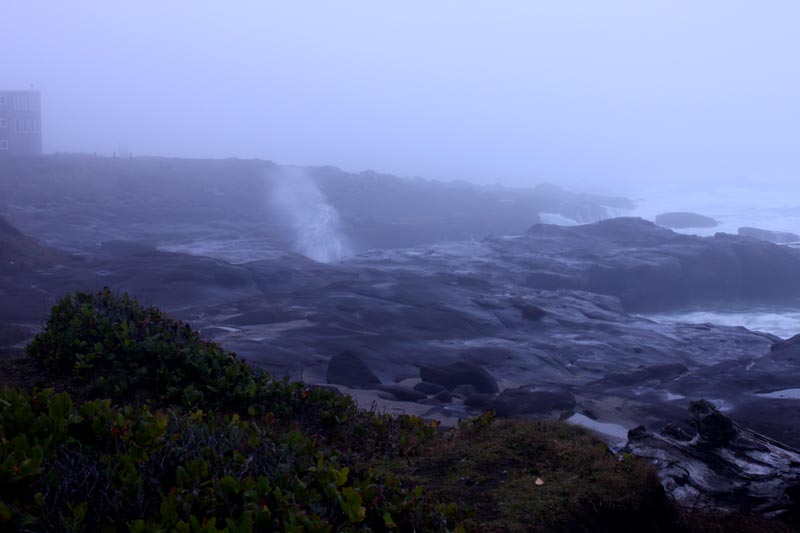 Serene and Surreal at Yachats, Where Oregon Coast Drama A Constant | Video