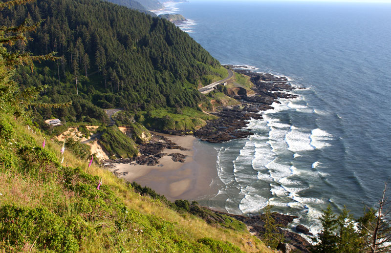 From Here You Just About See Forever Along the Oregon Coast 