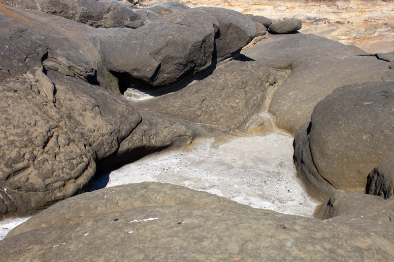 Beginning of 804 Trail: Gateway to Yachats Basalt Beaches