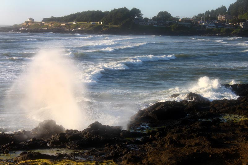 Oregon Coast Explorations: Nooks and Crannies of Yachats