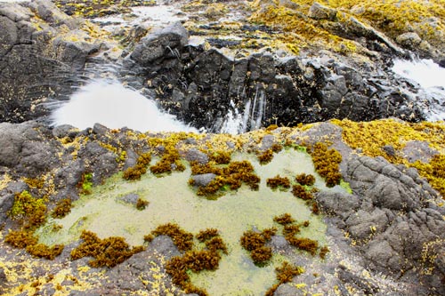 Yachats State Recreation Area hole in the rocks